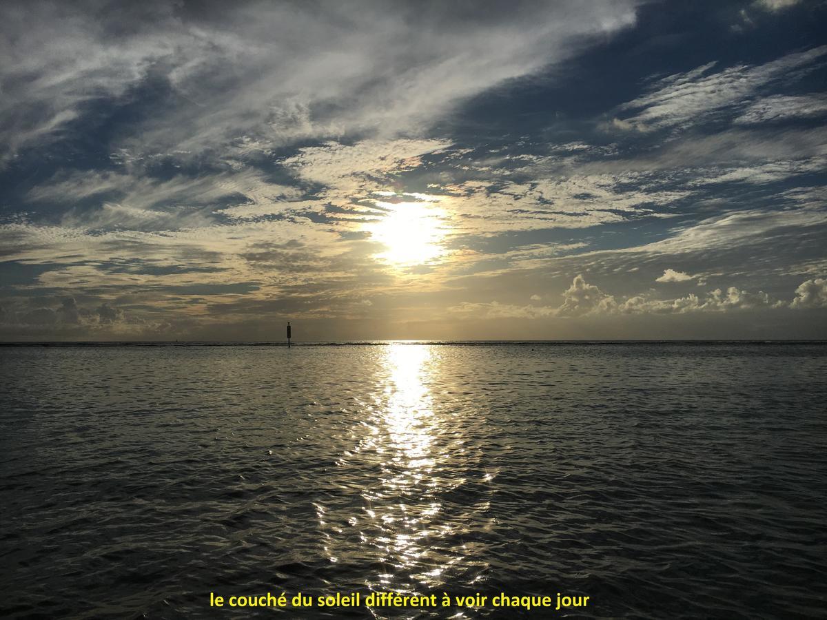 A Pied Dans L'Eau Daire Saint-Gilles-les Bains Dış mekan fotoğraf